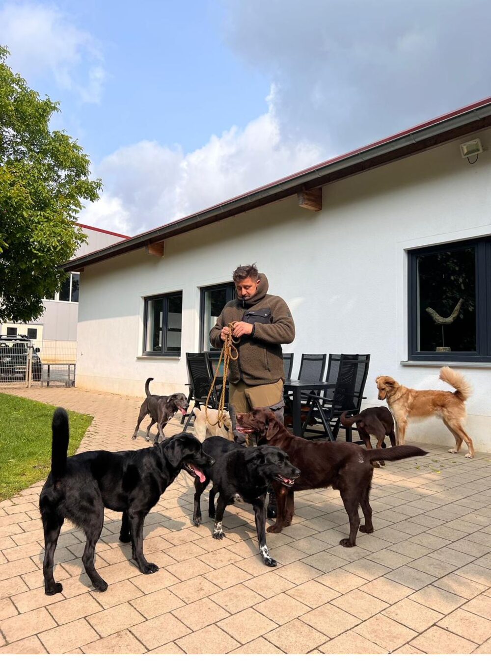 Hundeschule – Training mit Ralf Somann